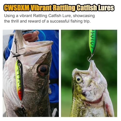 Catfish Float Rig Demon Dragon Style Rattling Line Float Propeller and Circle Hooks 6/0 8/0 for Santee Cooper Rig Catfishing Tackle - color: Demon Dragon Lures - 6 PCS