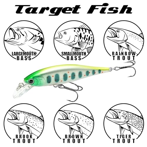 LUCKY CRAFT Pointer 65S ~Sinking~ Trout Lure, Fishing Bait, Jerkbait