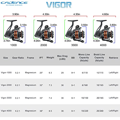 Cadence Vigor Spinning Reel - 9+1 BB Fishing Reel with Lightweight Magnesium Frame, Smooth Powerful Spinning Reels with High-Speed 6.2:1 Gear Ratio, 36 LBs Max Drag & Stronger Machined Handle
