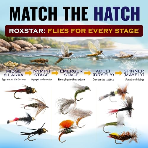 RoxStar Fishing Fly Shop, Premium Stimulator Dry Fly Assortment, Emerger Hatch Pack, Nymph Fly Hatch Pack for Trout and Bass