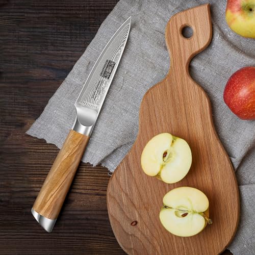 HOSHANHO Damascus Paring Knife 3.75 Inch, Professional 67 Layers Damascus Super Steel Small Fruit Knife, Super Sharp Hand Forged Japanese Paring Knife - style: 3.75 inch Paring Knife