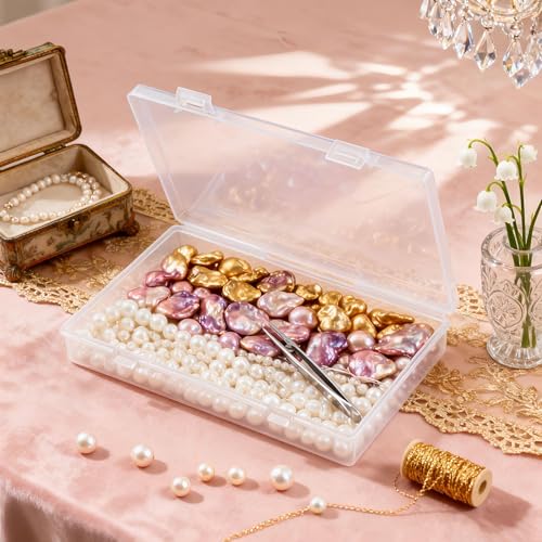 LJY 6 Pieces Rectangular Empty Mini Clear Plastic Organizer Storage Box Containers with Hinged Lids (7.1 x 4.3 x 1.2 inch, Transparent) - color: Transparent, size: 7.1 x 4.3 x 1.2 inch