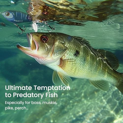 Pristis 3 pcs Topwater Fishing Plopper Lures, Floating Popper Bait Set with Chemically Sharpened Hooks for Saltwater Freshwater, Top Water Plopping Swimbait Teaser for Bass Tuna Perch Pike Crappie - color: 3 pcs Double-blade Color Set