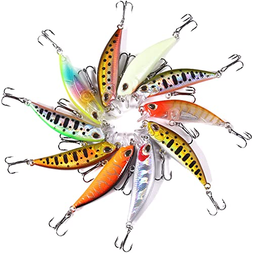 Jerkbait Fishing Lures Jerk Baits for Bass Fishing Jerk Bait Minnow Lures with Tackle Box for Freshwater Saltwater,10pcs - color: B-2in/0.18oz-10pcs