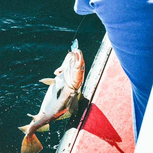 Syosisny 6-Piece Soft Fishing Lure Set, Realistic Bionic Swimbait for Bass, Trout, Saltwater & Freshwater Fishing Lures, Durable Fishing Gear Accessories - size: 3.15