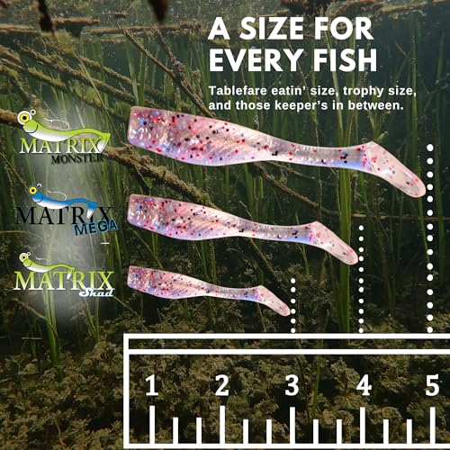 Fishing Lures for Speckled Trout, Redfish, Bass - Louisiana Paddle Tail Swimbaits for Freshwater and Saltwater - color: Limbo Slice