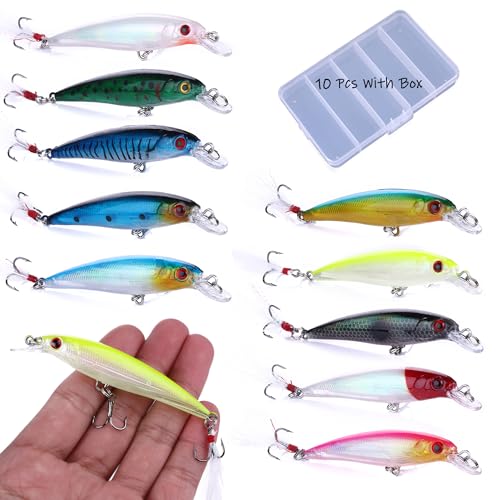 Jerkbait Fishing Lures, Top Water Bass Fishing Lures - 10pcs with Box