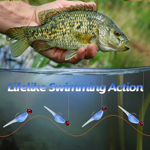 Crappie Lures Kit - Soft Plastic Lures for Trout, Bass, Panfish & Bluegill - 24 Packs - color: Blue