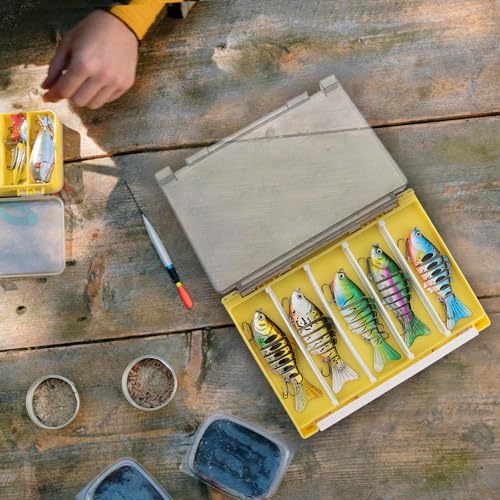 Double Sided Fishing Lure Box Organizer, Fishing Tackle Box Storage Hard Plastic Container Case for Lure Bait Hooks Beads Jewelry Earring - color: Yellow