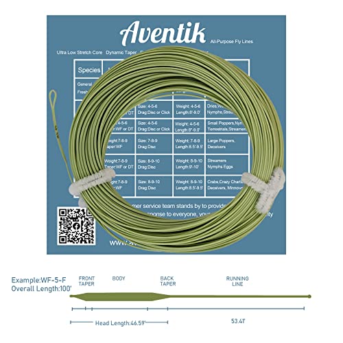 EUPHNG All-Purpose Fly Line Floating Trout Fishing Line Welded Loop Line ID Weight Forward Fly Fishing Line 100FT - color: Moss Green, size: WF2F