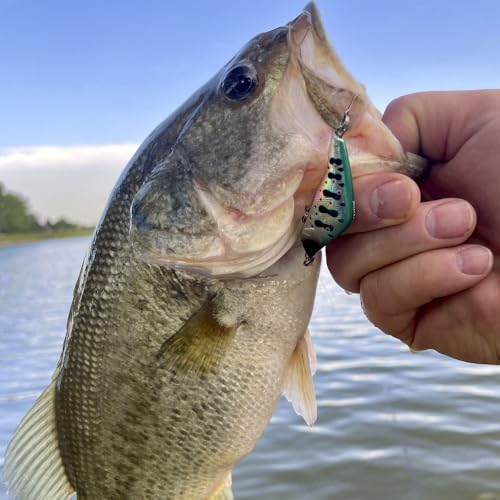 Wounded Duo Sampler 3 Pack – Ultralight Wobble Minnow Crankbait Fishing Lures (55mm & 50mm) – Wounded Series – Single Barb Hooks – Trout, Bass & Panfish Lures
