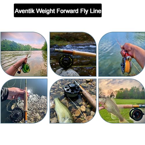 EUPHNG All-Purpose Fly Line Floating Trout Fishing Line Welded Loop Line ID Weight Forward Fly Fishing Line 100FT - color: Moss Green, size: WF2F