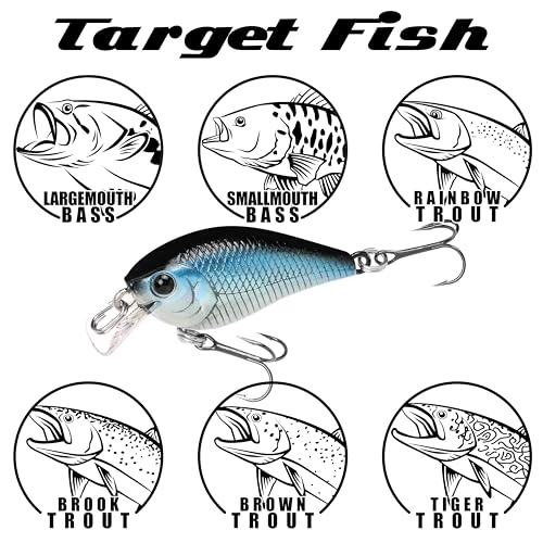 Lucky Craft LC 0.3 Squarebill Crankbait, Silent Fishing Lure for Bass Trout and Pike, Made in Japan, Freshwater Fishing Gear, Hard Bait Bass Lures - color: 137 to Craw