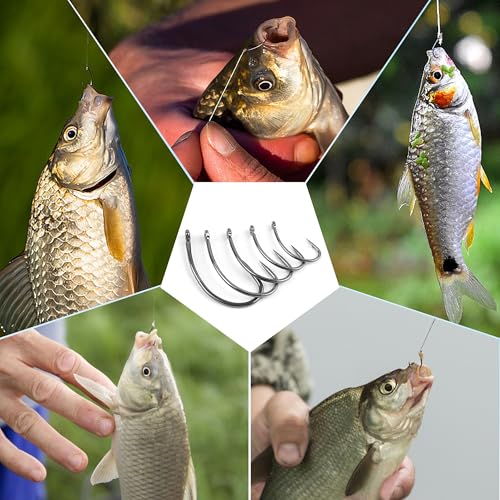 Barbless Fishing Hooks,Carp Curve Shank Crank and Wide Gape Circle Trout Fly Tying Hooks Small Size Circle Hooks for Hair Rig Fishing Tackle Size 2# 4# 6# 8# 10#