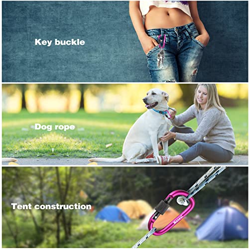 10 Pack 3Inch Aluminum D Ring Key Rings Hiking Clips Locking Carabiner for Hiking Camping Fishing and Outdoor Use，Clips with Screw Gate Multicolored - color: Pink