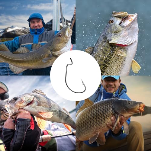 UCEC Fishing Hooks Offset Shank Worm Hooks Extra Wide Gap 2X Strong Carbon Steel Bait Jig for Bass Fishing Trout Catfish Saltwater Freshwater 1/0 2/0 3/0 4/0 5/0 30pcs/Box - size: 2/0 30pcs