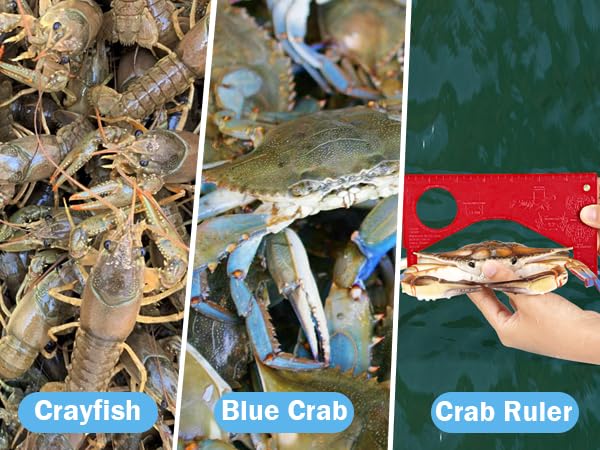 QualyQualy 9 Pack Crab Throw Line Length 30FT/9.14M Weighted Crab Trap Line Kit with Tong, Measuring Tool and Gloves Crabbing Equipment Combo - color: Crab Trap Line - 6