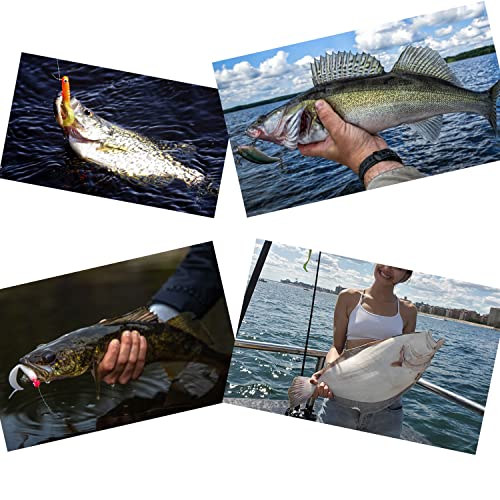 50lb 100% Fluorocarbon Fishing Leaders, 10/20 Pcs, Saltwater/Freshwater, 20in Fluorocarbon Leader line with Swivel and Snap - size: 20 in, 20 pcs
