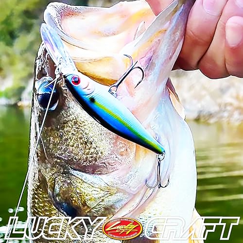 LUCKY CRAFT Pointer 78DD Freshwater Fishing Lure and Gear for Bass & Trout, 3 inch Deep Diving Suspending Jerkbait Fishing Line, Pressure-Ready Fish Bait, Premium Gear for Tackle Box, - color: 371 Bone Pro-Blue