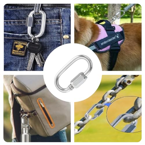 HOME MASTER HARDWARE 304 Stainless Steel D-Shaped Locking Quick Link Carabiner - Heavy Duty Secure Connector for Chains, Straps, Gear (10 Pack) - size: 1/8in，10pack