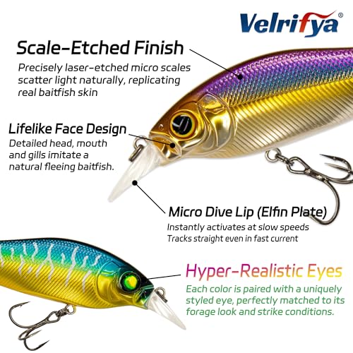 Flat Sided Japanese-Style Crankbait Elfin Shad – Medium Diving Bass Fishing Lure, Hard Bait Shad Crankbait for Freshwater Velrifya - color: 06-Sexy Shad