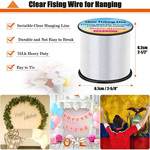 Strong Fishing Line Clear, Acejoz Fishing Wire 0.3mm, 0.45mm, 0.8mm Invisible Hanging Wire Nylon String Heavy Duty Monofilament Line for Hanging Decoration Balloon Garland Crafts - color: 0.8mm