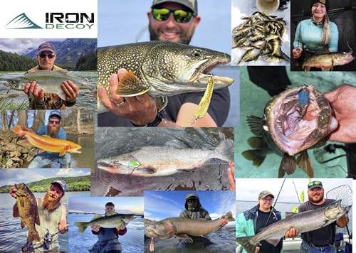 IRON DECOY Spoon Fishing Lures 3-Pack, Multi-Species Metal Spoons for Trout, Walleye, Bass, Salmon, Pike, Ice Fishing & Trolling, Vibrating Spoon Lure Kit - color: Walleye, 1/2 oz