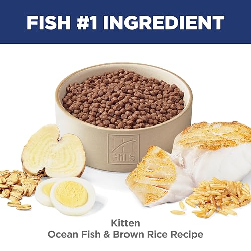 Hill's Science Diet Kitten Dry Cat Food, Ocean Fish & Brown Rice, 7 lb. Bag - size: 7 Pound (Pack of 1)