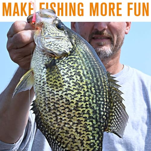 Dovesun Crappie Lures with Jig Heads Kit, Soft Plastic Grubs-Tube Baits 1/8oz 1/16oz 1/32oz Crappie Jigs Walleye Trout Bass Crappie Baits 95-120pcs - color: A-110PCS-Crappie Lures(small)