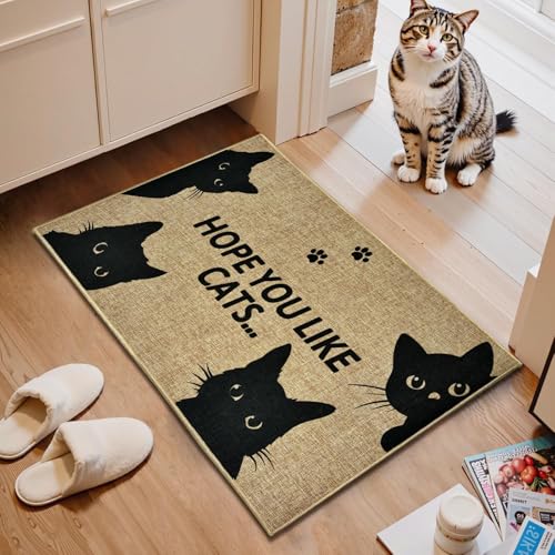 Black Cat Welcome Doormat Outdoor Funny Cat Entryway Rug Cute Animal Carpet Mat Modern Inside Outside Non-Slip Doormat Indoor Washable Floor Mat for Patio Hallway Home Decor - color: Cat