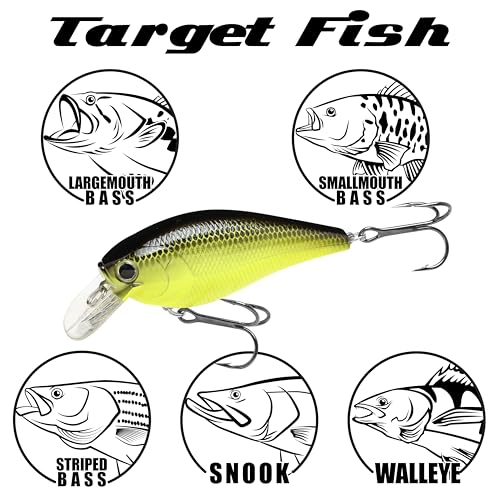 LUCKY CRAFT Fat CB BDS 3, Freshwater Bass Fishing Lure, Crank Bait, Smallmouth, Walleye, Floating, Fishing Gear, Fishing Accessories, Fishing Tackle - color: 269 BE Gill