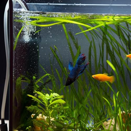 uxcell 20Pcs Aquarium Air Valve Connector, Plastic Inline Tubing Non-Return Valves for 4mm ID Airline Tubing Fish Tank Pond Air Line, Black