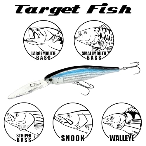 LUCKY CRAFT SW Pointer 100XD, Saltwater Fishing Lure, Jerkbait, Tournament Winning, Deep Diver, Fishing Gear, Fishing Accessories, Fishing Tackle - color: 269 BE Gill