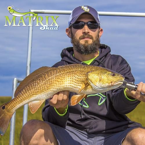 Fishing Lures for Speckled Trout, Redfish, Bass - Louisiana Paddle Tail Swimbaits for Freshwater and Saltwater - color: Magneto