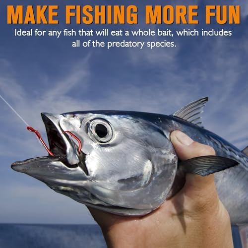 Dovesun Circle Hooks for Catfish 2X Strong 100PCS Catfish Hooks Octopus Circle Hooks Saltwater and Freshwater Black & Red Size 1/0-8/0 - color: Red, size: 4/0*80PCS