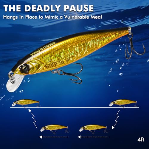 TRUSCEND Suspending Jerkbait, Rattle Minnow Lures with BKK Hooks, Freshwater Bass Trout Striper Walleye Pike Fishing Lures, Variety Pack for All Water Conditions, Premium Fishing Gear and Gifts - color: A-3.5",0.3oz