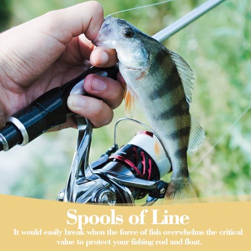 TIESOME 2PCS Fishing Bait Elastic Thread, 0.2mm 820 FT Per Spool Invisible Magic Fishing Line Fishing Bait String No Knots Required Bait Keeper Stretchy Clear String for Salmon Sturgeon Catfish