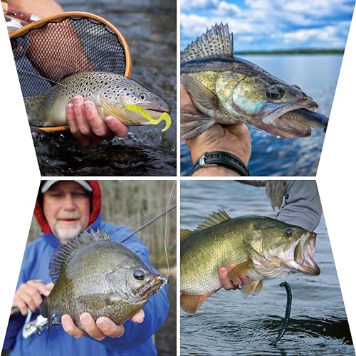 175pcs Fishing Tackle Box Kit Hooks Bobbers Sinkers Swivel Snaps Freshwater Saltwater Starter Set for Bass Trout Catfish Beginner Fishing Gift