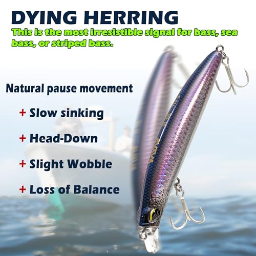 Jerkbait Fishing Lure Minnow 119S, Slow Sinking Saltwater Surf Fishing Lures with Tungsten Weight, Long Cast System, Through-Wire Construction, BKK 4X Hooks, for Halibut Striped Bass Surf Perch