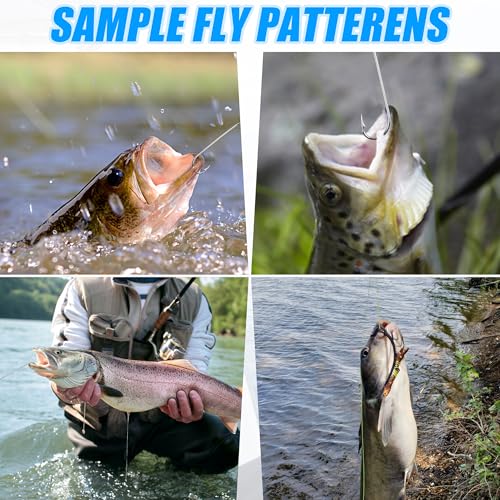 200pcs Fly Hooks for Fly Tying Dry Wet Barbless Nymph Flies Curved Fly Fishing Hooks IGN Carbon Steel Long Shank Jig Hook with Tackle Box 2# 4# 6# 8# 10# - color: Silver, size: 2# - 200 Pack