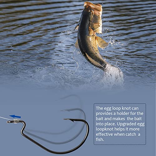 Dovesun 10/5PCS Ready Tied Carolina Rig Kit for Bass Fishing Catfish Rig Catfish Hook Kit with Bass Hooks, Swivel, Fluorocarbon Line, Weights - color: 5PCS, size: Size3/0 - Weight1/2oz