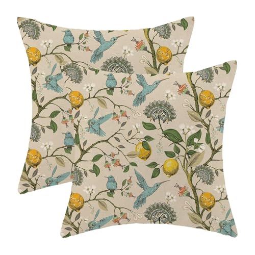 Chinoiserie Pillow Covers 16 x 16 Set of 2, Spring Lemon Blue Green Bird Floral Throw Pillow Covers Farmhouse Flowers Pillowcase Home Decor for Couch Sofa Outdoor - color: Chinoiserie-d, size: 16" x 16" (Pack of 1)