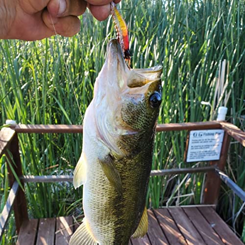 Goture Soft Shrimp Lures Fishing Saltwater Luminous Shrimp Bait Set Fishing Lures with Sharp Hooks for Freshwater Saltwater Trout Bass Salmon Crappie Walleye Pike Perch - color: B:21pcs Shrimp Lures-3.54in/0.21oz