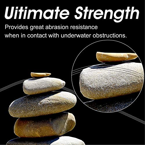 RIKIMARU Fluoro Fishing Line, 100% Soft Fluorocarbon Coated Fishing Line - size: 12 lb/0.32 mm/300 yds