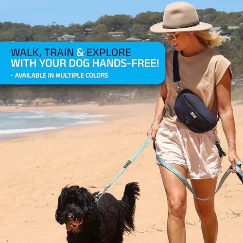 DOOG Neosport Dog Walking Fanny Pack - Waterproof Treat Pouch & Waste Bag Holder - Hands-Free Belt Bag for Training, Hiking & Outdoor Adventures - Navy - color: Navy Blue