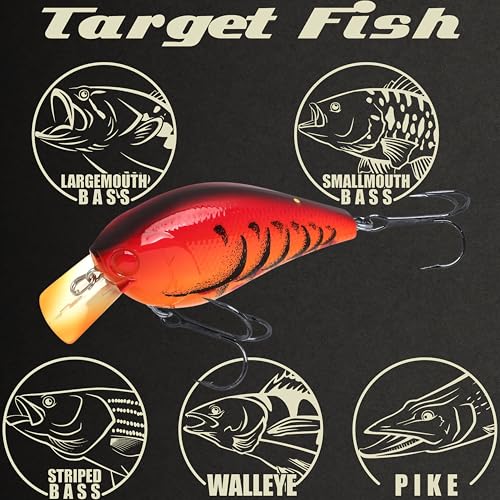 LUCKY CRAFT LC 2.5 Silent Crankbait Fishing Lures, 2-3/8” Squarebill Crankbait, Bass Lures, Floating 4ft Depth Hard Bait, Champion Freshwater Fishing Gear and Tackle Box Accessories - color: 345 Delta Crazy Red Craw