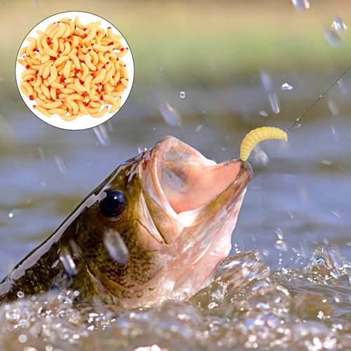 100pcs Bass Fishing Worms Lures, Silicone Soft Maggot Baits Bread Worm Fishing Lures, Bread Worm Wax Worms for Trout Panfish, Fresh Water Fishing Lures Set, 2 Styles