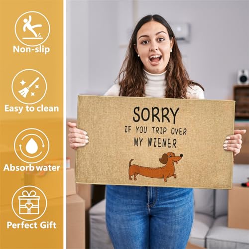 Funny Dog Doormat Outdoor Welcome Entrance Door Mat Front Back Door Entryway Floor Mat Inside Outside Non-Slip Welcome Carpet Rug Indoor Washable Doormat for Patio Hallway Home Decor - color: Brown Dog