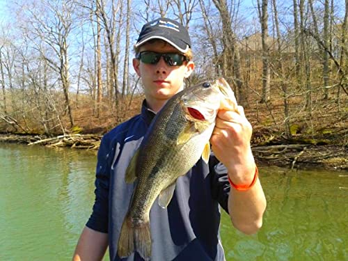 Long Shank Neck EWG Offset Worm Hook Wide Gap Swimbait Weedless Fishing Terminal Tackle - color: 25/PK LONG NECK EWG 5/0 HOOK & (6) WEIGHTS