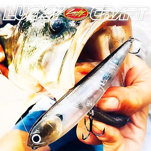 Lucky Craft Lucky Craft Sammy 115 ' - color: 052 Aurora Black